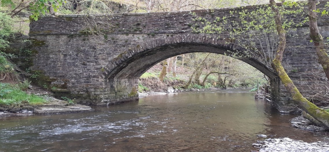 Aberedw - JA from Rhayader